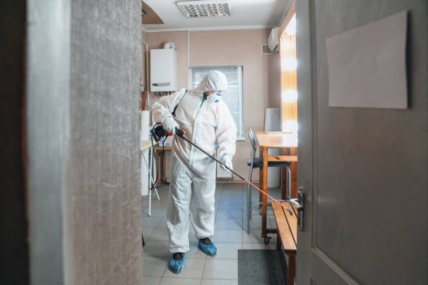 Professional Mold Inspection, Removal & Remediation in Fairforest, SC